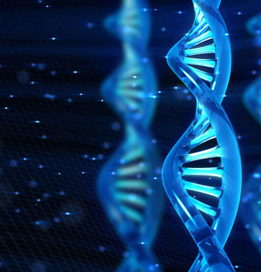 DNA Analisi Cliniche Chianciano Salute